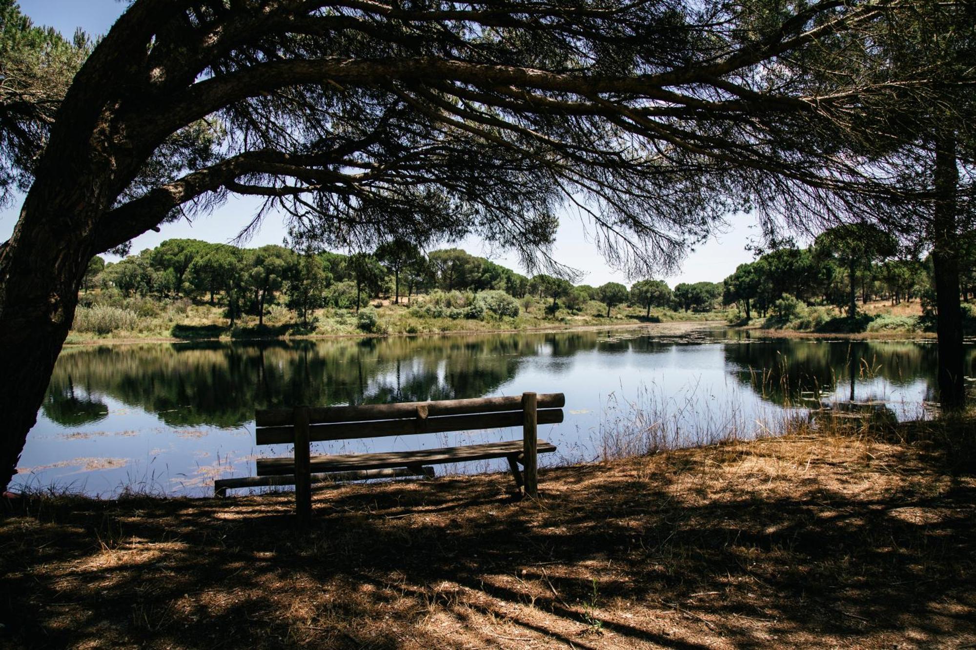 Herdade De Montalvo - Comporta Extérieur photo