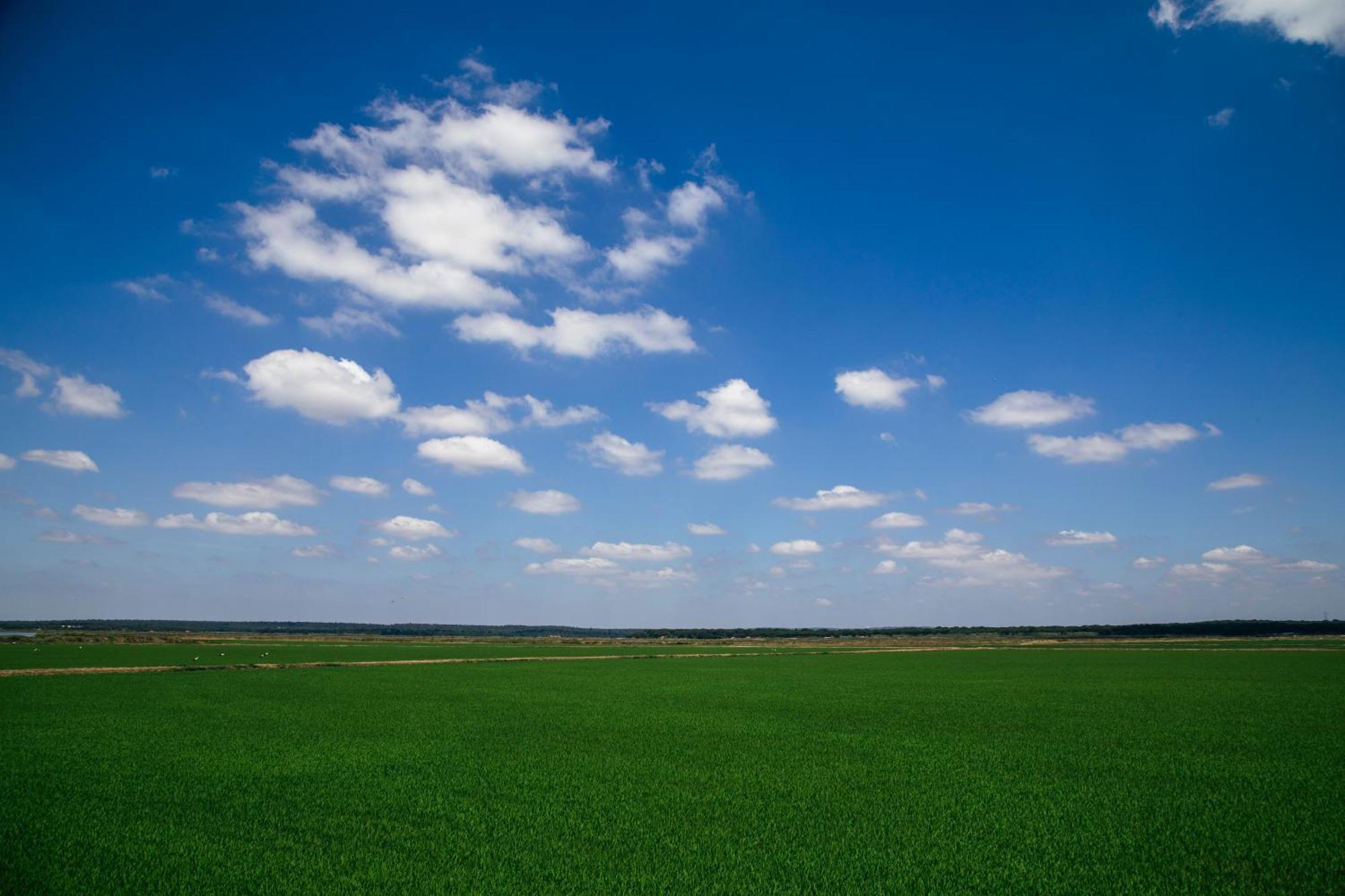 Herdade De Montalvo - Comporta Extérieur photo