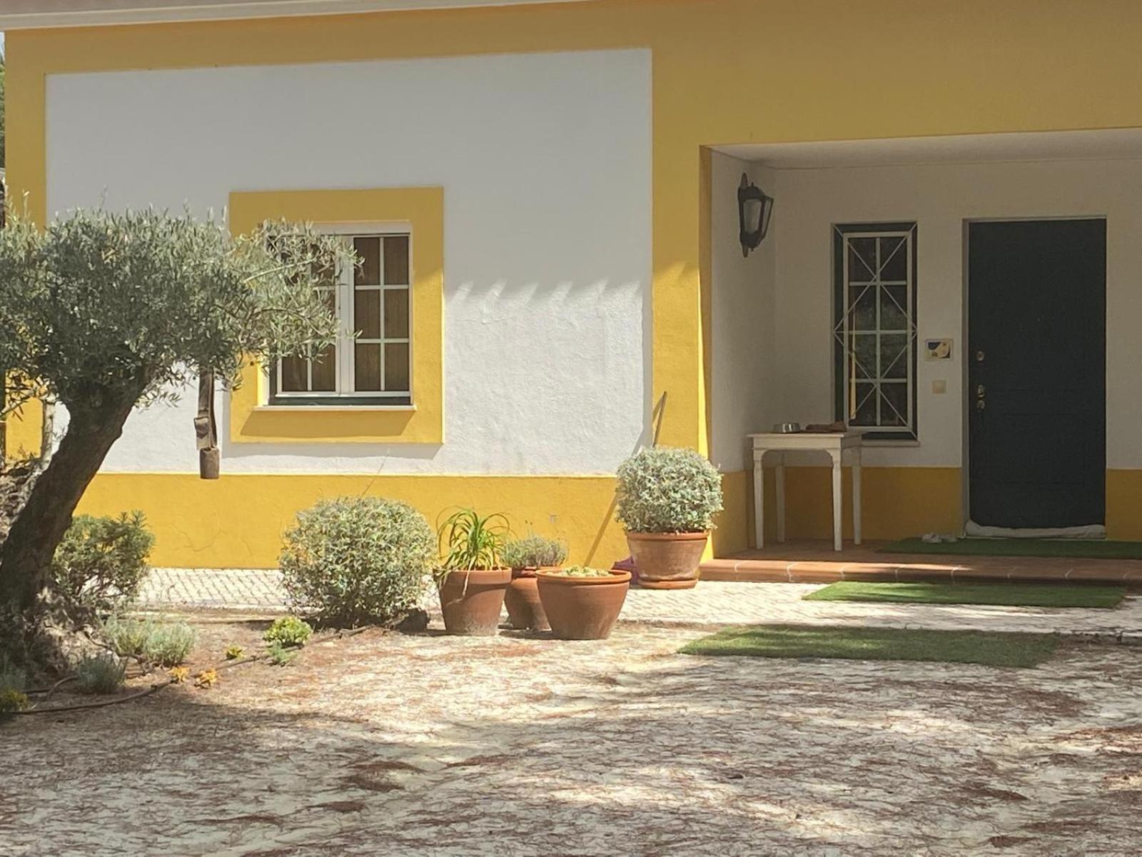 Herdade De Montalvo - Comporta Extérieur photo